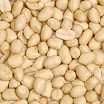 Blanched Hsuji Kernels (Round Shape)